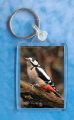 GS Woodpecker Keyring