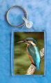 Kingfisher 1 Keyring