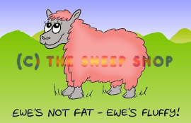 Ewes Not Fat Magnet