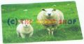 Sheep Place Mat