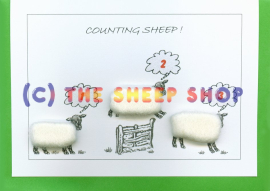 Counting Sheep